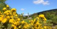 Glendalough Monastic Ruins